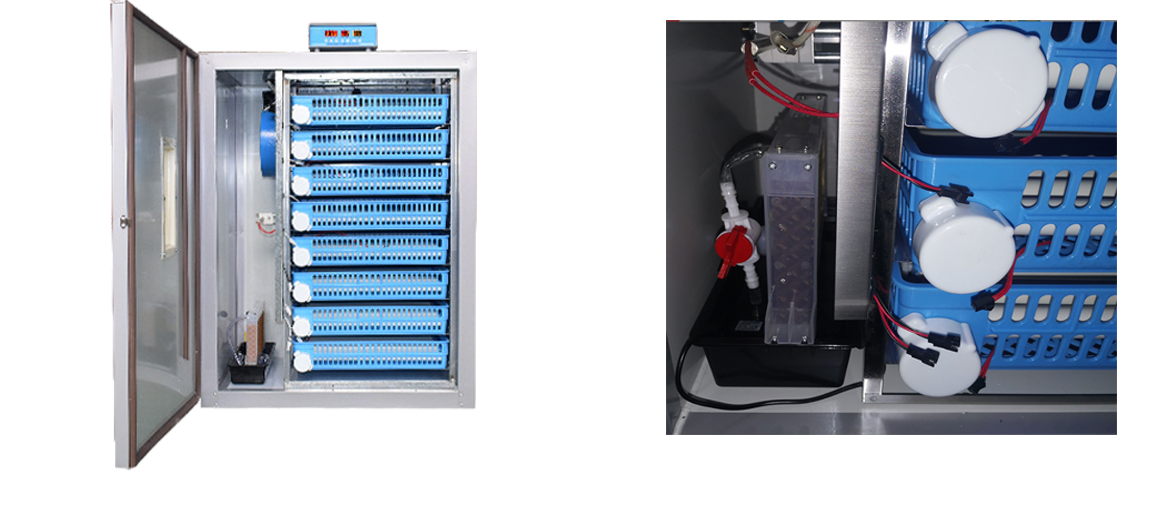 What are the key points when choosing and using a poultry incubator