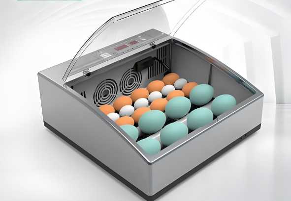 Encubadoras de Huevos para Pollos: La Solución Profesional para Criadores y Granjas