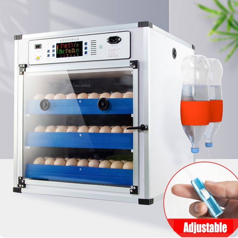 Premium Fully Automatic Egg Incubators for the European and North American Markets – Precision, Reliability, and Global Compliance